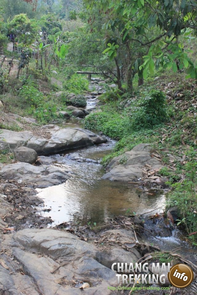 3-days/2-nights Trekking Tour | Chiang Mai Trekking | Das beste Trekking in Chiang Mai mit Piroon Nantaya